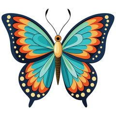A Butterfly with White Background