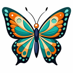 A Butterfly with White Background