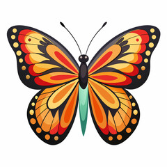 A Butterfly with White Background