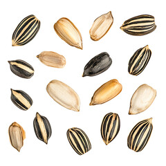 Obraz premium A collection of sunflower seeds, some with their shells on, others with the shells removed, showing the inner kernels.