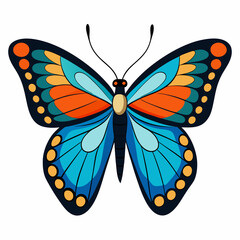 A Butterfly with White Background