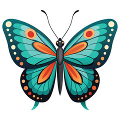 A Butterfly with White Background