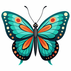 A Butterfly with White Background