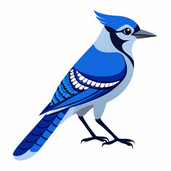 Blue jay Black silhouette