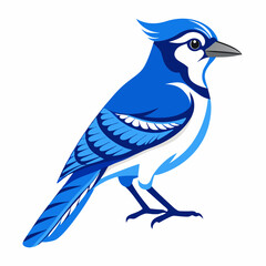 Blue jay Black silhouette