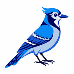 Blue jay Black silhouette
