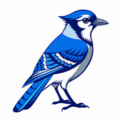 Blue jay Black silhouette