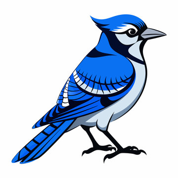recommend clip art: Blue jay Black silhouette