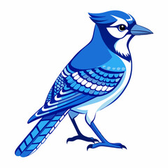 Blue jay Black silhouette