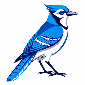 recommend clip art: Blue jay Black silhouette