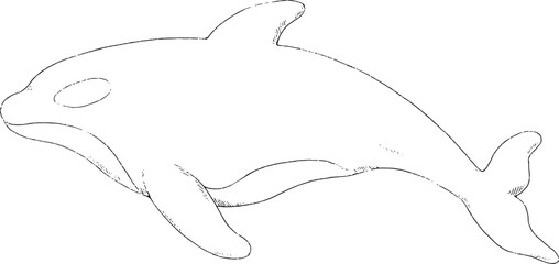 Fototapeta premium Adorable Killer Whale outlines only