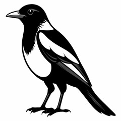 Fototapeta premium Magpie Black silhouette