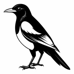 Magpie Black silhouette