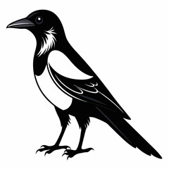 Magpie Black silhouette