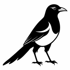 Magpie Black silhouette