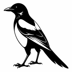 Magpie Black silhouette