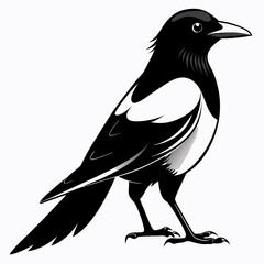 Magpie Black silhouette