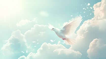funeral sky background with white dove flying symbolizing freedom and spiritual release with clear copy space