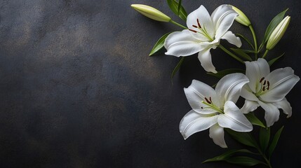 white lilies branch on a soft background ideal for a funeral or condolence card peaceful flowers symbolizing loss and sorrowful tribute with space for mourning and remembrance