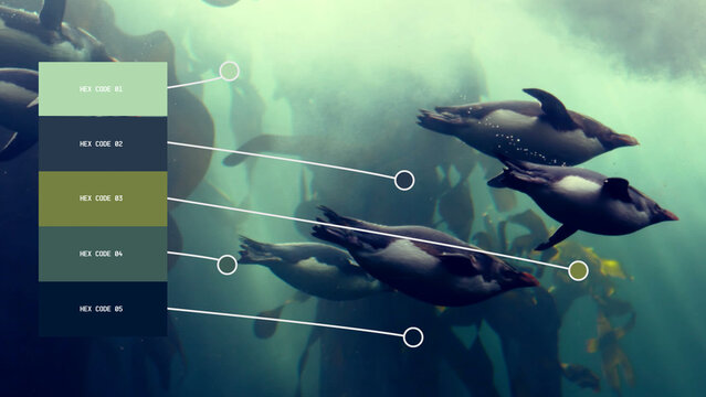 Color Palette Overlay