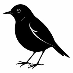 Robin Black silhouette