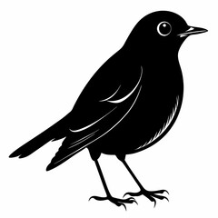Robin Black silhouette