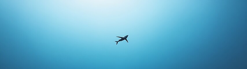 Flying Fish Soaring in Clear Blue Sky - High-Quality Minimalistic Shot from Below with Simple Flat Design