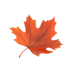 Fototapeta premium Autumn's Embrace A Single Maple Leaf in Vibrant Hues.