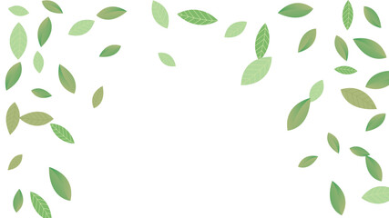 Leaves Vector White Background Illustration. Fresh Greens Template. Grassy Leaf Brochure, Green flying leaves wave,nature Day