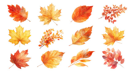 Obraz premium PNG Autumn leaf watercolor set, transparent background