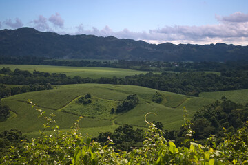 Green Agriculture Field Landscape with Green Trees and Mountain Range 1