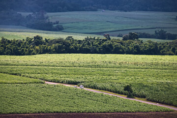 Green Agriculture Field Landscape with vehicle on roadway 1