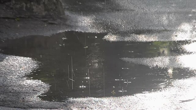 Puddle. Puddle on the asphalt. Drops of rain water dripping into a puddle on the asphalt on a sunny summer day