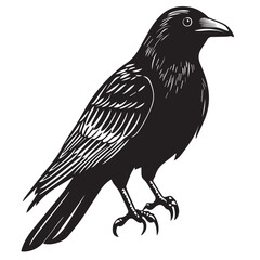Fototapeta premium Raven in cartoon, doodle style . Image for t-shirt, web, mobile apps and ui. Isolated 2d vector illustration in logo, icon, sketch style, Eps 10, black and white. AI Generative