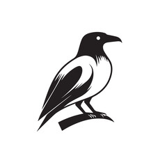 Obraz premium Raven in cartoon, doodle style . Image for t-shirt, web, mobile apps and ui. Isolated 2d vector illustration in logo, icon, sketch style, Eps 10, black and white. AI Generative
