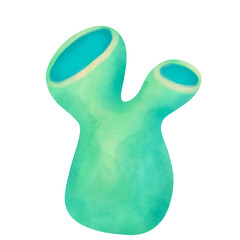 seaweed, coral, sea ​​anemone Watercolor, cute Cartoon