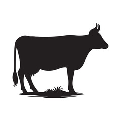 Silhouette of Cow, silhouette or illustration of a cow or buffalo, Ideal for farm, ranch branding. Perfect for logos, decals. Black, white background. 