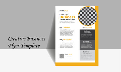 Business Flyer Corporate Flyer  And Colorful concepts