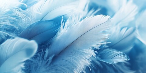Obraz premium beautiful blue feathers arranged for a gentle background representing peace and hope, ideal for creative banners and inspirational products