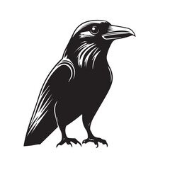 Obraz premium Raven in cartoon, doodle style . Image for t-shirt, web, mobile apps and ui. Isolated 2d vector illustration in logo, icon, sketch style, Eps 10, black and white. AI Generative