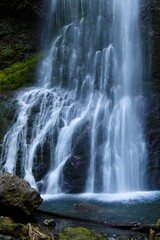 waterfall in the forest