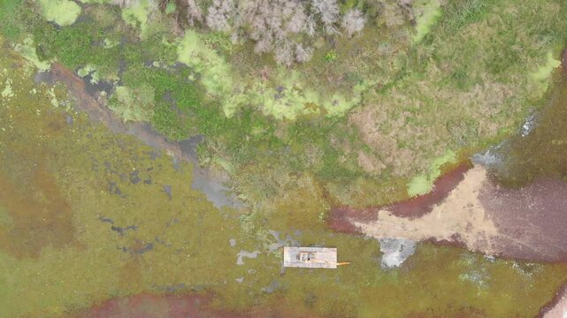 Macrophyte cleaning from the lake