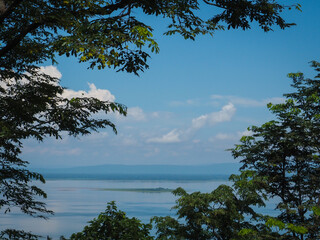Treetops and mountain lake landscape view