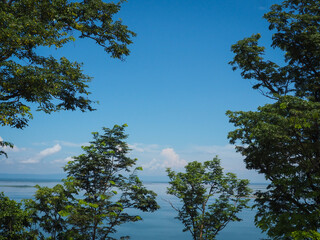 Treetops and mountain lake landscape view