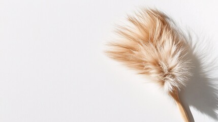 Fluffy Pet Grooming Brush with Scattered Tufts of Fur, Placed on a Clean White Surface, Capturing a Tranquil Moment in a Brightly Lit Setting