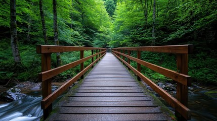 Wooden bridge crossing over a stream in a forest, canopy of trees above, peaceful ambiance
