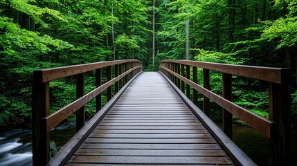 Wooden bridge crossing over a stream in a forest, canopy of trees above, peaceful ambiance