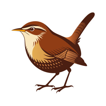 Wren clip art preview