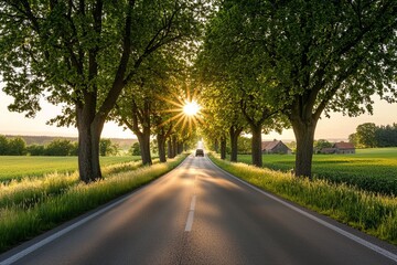 Fototapeta premium Coastal road across Rügen/Mecklenburg-Vorpommern islands