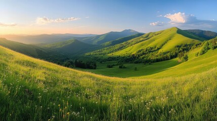 The rolling green meadows of Romania's Ciucas mountains, bathed in the warm light of a setting sun.